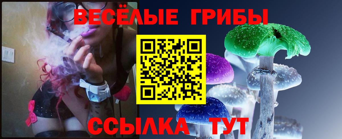 Галлюциногенные грибы Cubensis Тайшет